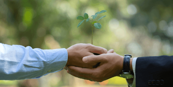 4153345 F0c151a032176964e2cd06910be76942