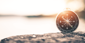 4153326 5a321cc21e156cd245474217635203b2